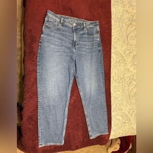 American Eagle Outfitters High Rise Blue Jeans